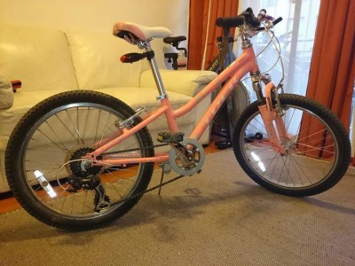 bicicleta trek aro 20 niño